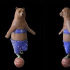 Bear on a ball